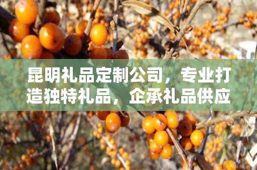 昆明礼品定制公司，专业打造独特礼品，企承礼品供应链卓越服务