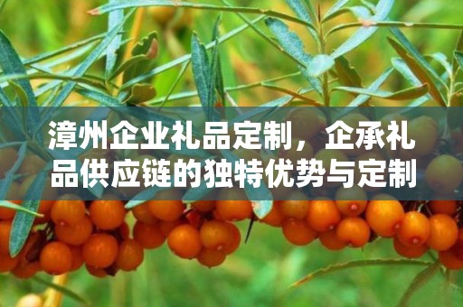 漳州企业礼品定制，企承礼品供应链的独特优势与定制体验